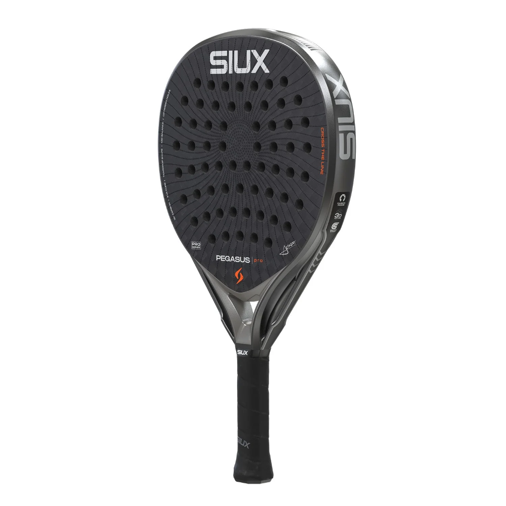 Siux Pegasus Pro 2026